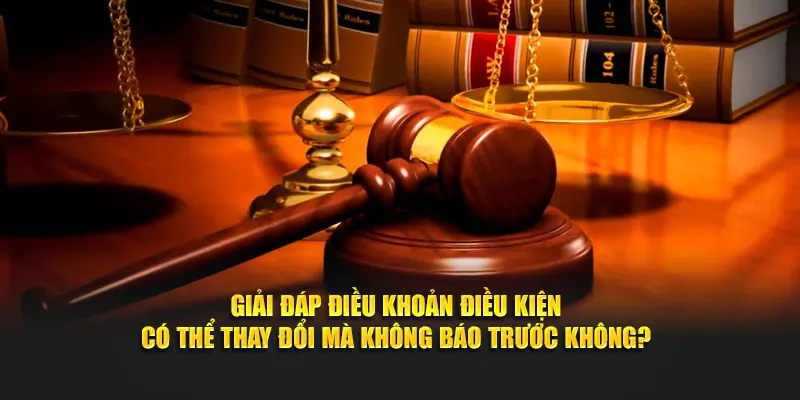 Giải đáp điều khoản điều kiện có thể thay đổi mà không báo trước không?
